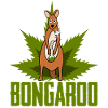 Kangaroo with hemp hookah Kangaroos