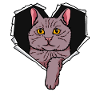 Cat CrackEd Hole Heart Cats