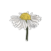 Hobby Jardinier Jardinier Jardinier Daisy