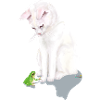 Chat blanc avec grenouille verte