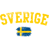 Sverige-Bogen-Flaggenemblem