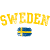 Sweden Bold Brush Flag Tee