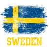Sweden Brush Flag Graphic
