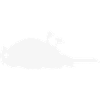 Oiseau sur le dos