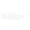 Baleine sur le dos