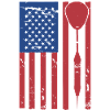 Darts USA Flag