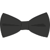 Nœud papillon