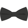 Nœud papillon