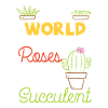 Succulent Plants