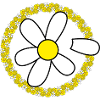 Gänseblümchen - Daisy