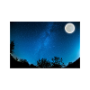Summer Night
