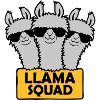 Llama Squad Team Design