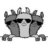 Lamas Freunde hinter Mauer