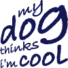 Dog thinks in the cool