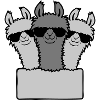 Empty Shield Lama's Team