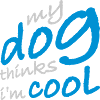 Dog thinks in the cool