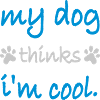 Dog thinks in the cool