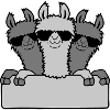 Lamas Friends Team Shield