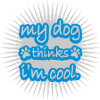 Dog thinks im cool