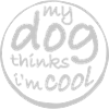 Dog thinks in the cool