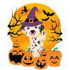 Dalmatien Halloween Costume Chien