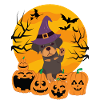 Mignon Rottweiler Halloween Costume Chien