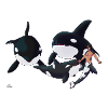 Swimming together