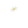 Smile sourire fleur Marguerite happiness