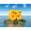 Year 65