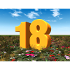Année 18