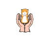 COCHON D’INDE MAMAN