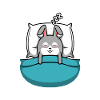 Official sleepshirt hase