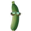 Zucchini Sunglasses