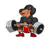 Teckel Teckel Musculation