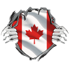 Kanada Flagge Ahornblatt Kanadische Fahne Canada