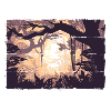 Outdoor Trees Forester