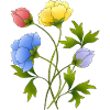 Fleur