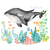 Orca Ocean Underwater