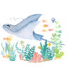 Ray Sea
