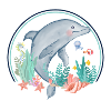 dolphin underwater