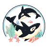 Orca baby and mother