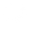 white viking eagle