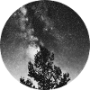 Milky Way With Tree
