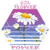 Sonnenblumen