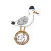 Mouette Moin blanc
