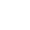 Wild West