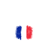 France Brushed Flag Emblem