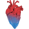 Crystallized heart