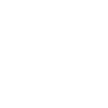 Libellules Flying Insect Citations Entomologiste