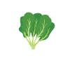 Spinach